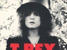 T. REX (MARC BOLAN) - THE SLIDER  - 12