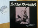 ANGRY SAMOANS debut 12” correct matrix FIRST US PRESSING 'Inside My Brain' 1980
