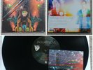 JAGUAR LOVE Hologram Jams LP THE BLOOD BROTHERS Vinyl Record 12