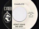 Doo Wop 45 - Camelots-Don't Leave Me Baby/Love Call-Ebonaires (Cameo)(promo)VG++