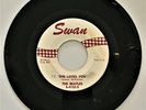 The Beatles She Loves You 45 RPM Swan S-4152-S White/Red Label 1963