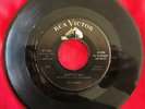 Roy Gaines, RCA 7243, Skippy Is A Sissy & Weeping Willow, Excellent rocker