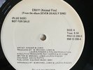 RARE DISCO  Rinder & Lewis - Envy (Animal Fire)/Lust - AVI PRO-12-206-D - EX