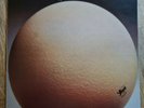 Egg LP The Civil Surface UK Caroline 1st Press BEAUTIFUL COPY RARE LIKE THIS