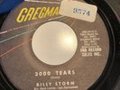 Billy Storm ‎– Who'll Keep An Eye On Jane / 3000 Tears - Gregmark 9. VG+