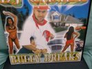 DJ CRAZE: BULLY BREAKS   RECORD