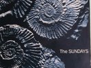 The Sundays Reading Writing Arithmetic Australia press 12'' vinyl Lp  rare 1990