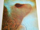 Pink Floyd   Meddle   EMI Harvest   LP   SHVL 795   1971   G / VG+