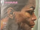 Miles Davis SORCERER Purple Orchid Colored 180g Vinyl Me Please VMP LP SEALED