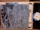 WAYNE SHORTER LP 