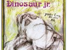 Dinosaur Jr You're Living All Over Me USA SST pressing 12'' vinyl Lp rare 1987