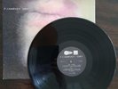 P J Harvey ‎– Dry (1992 UK PRESSING VINYL LP - EXCELLENT / ALMOST NEAR MINT)