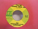 The 13th Thirteenth Floor Elevators You're Gonna Miss Me Tried To Hide Rock 45