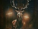 In The Woods... - Cease The Day - 2018 Debemur Morti Productions  - 2xLP Vinyl