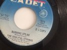 Demo - The Soulful Strings - Burning Spear (USA Chess)