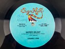 Sugarhill Gang Rapper's Delight 33 RPM Single Record Sugar Hill Records 1979