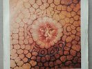 Rare SP 45T - King Crimson – Cat Food / Groon - Original Fra 1970 - (VG,VG+/VG+)