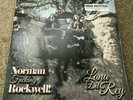 Lana Del Rey Norman Fucking Rockwell 2XLP Pink UO Exclusive Vinyl NFR  IN HAND