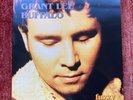 Grant Lee Buffalo „ Fuzzy „ Music on Vinyl 180g Vinyl LP, Reissue