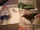 3 vinyl Calexico the black light feast of wire garden ruin vinyl