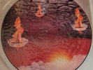 Faith No More - The Real Thing Limited Edition Picture Disc Album Vinyl Record