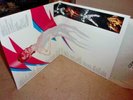David Bowie - Aladdin Sane ; rare 1990 S+V LP in GF sleeve with unique inner NEW