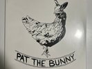 Pat The Bunny - The Volatile Utopian Real Estate Market (Vinyl LP) New Rare