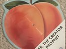 Tyler,The Creator Prophet Peach Fuzz 10” Peach Shaped Picture Disc Vinyl LP New