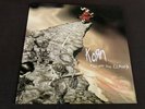 Korn Follow The Leader 2 LP Coke Bottle Clear Vinyl FYE Exclusive 00420/1000