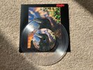 stranglers the raven 7