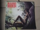 RARE BIRD # SYMPATHY / PSYCH / PROG ROCK / IST PRESS LP STEREO.
