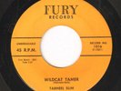 R&B Rocker TARHEEL SLIM Wildcat Tamer / Number 9 Train FURY Rare 45 VG++