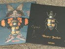 Courteeners More. Again. Forever Orange Vinyl LP + Signed Art New