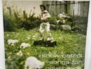 Snow Patrol “Songs For Polarbears” Vinyl LP Record 1998 Jeepster Recordings EX