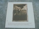 Pixies - Surfer Rosa 1988 UK LP 4AD 1st