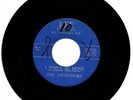 The Ascendors Rare Garage My Friend / I Won't Be Home Lee Records