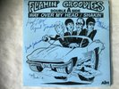 Rare Garage Punk Record Flamin' Groovies  7