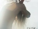 LYCIA - A DAY IN THE STARK CORNER 2LP - Vinyl Record DLP.. - H7351H