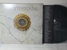 Whitesnake - Self Titled, GHS 20499 Geffen LP Vinyl ULTRASONIC CLEAN Original