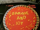 JESUS and MARY CHAIN Damage and Joy Double LP Vinyl Lp