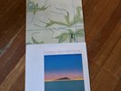 2 ROCK LPS BRIAN ENO AMBIENT #1 MUSIC FOR AIRPORTS 1 ROBERT FRIPP EVENING STAR