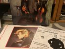 STRAY CATS s/t FIRST U.K. PRESSING w/HYPE/Inner/PROMO PIECE & VG++ VINYL -STRAY1