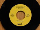 Push Michigan 1979 Rock Power Pop 45 Just Getting High bw Disco Sucks on Jansco