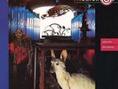 Species Deceases - Midnight Oil Vinyl