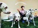 New Music Rex Orange County 