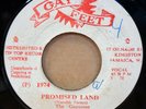 THE GAYTONES PROMISED LAND / VERSION JAMAICAN GAY FEET 7