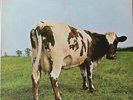 Pink Floyd - Atom Heart Mother (LP, Album, Quad, RE, SQ)