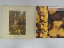 2 70’s Rock LPs   Van Morrison   Moondance   Tupelo Honey