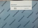 SPIRITUALIZED Ladies & Gentlemen LP Rough Trade Hand Screened Sleeve 11/500