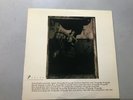 PIXIES SURFER ROSA ROUGH TRADE LABEL 1988 PRESSING EXCELLENT